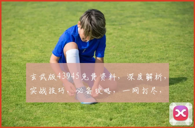 玄武版43945免费资料，深度解析，实战技巧，必备攻略，一网打尽，不容错过
