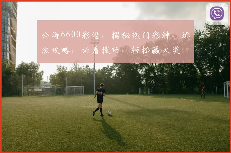 公海6600彩沿，揭秘热门彩种，玩法攻略，必看技巧，轻松赢大奖